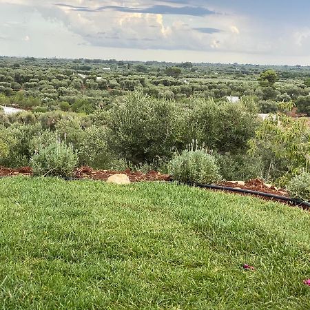 Tenuta Lamia Degli Ulivi - Ostuni Puglia - Ancient Lamia And Modern Villa Kültér fotó